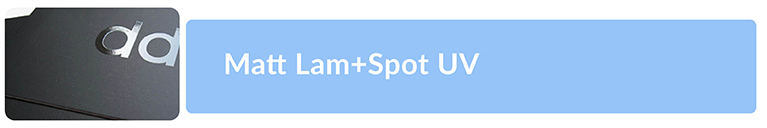 Matt Lam+Spot UV